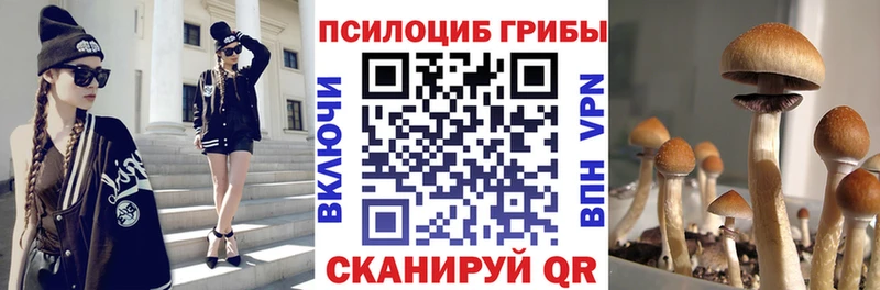 Псилоцибиновые грибы ЛСД купить наркоту Александров